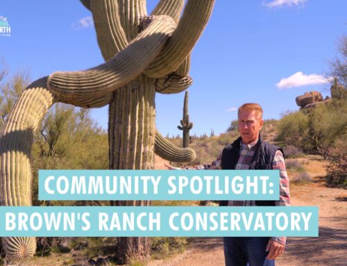 Brown’s Ranch